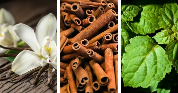 The Top 10 Most Popular Fragrance Notes in 2025
