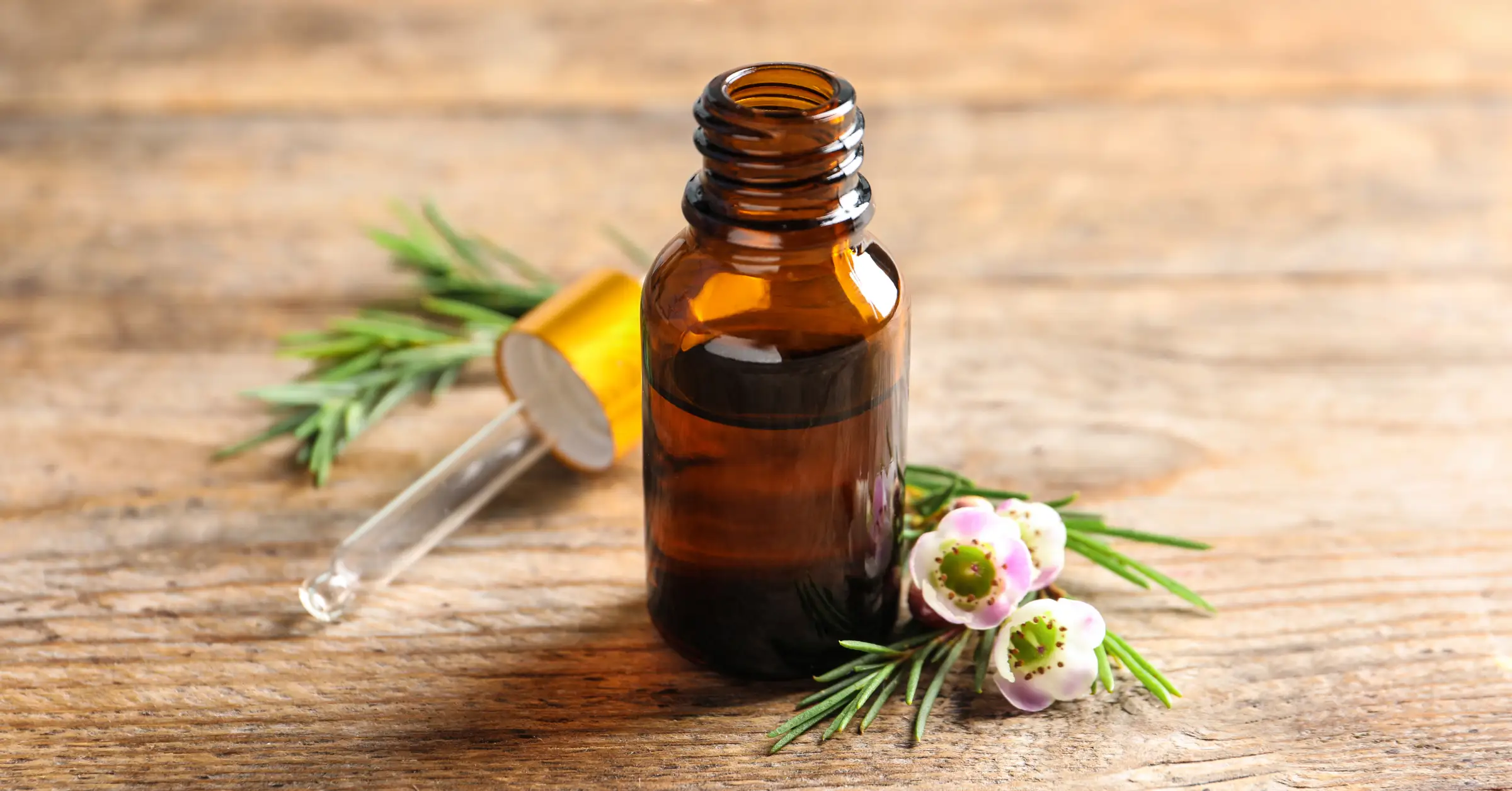1750127036 905 ¿como utilizarlo de forma segura.webp Tea Tree Oil: How to Use It Safely?